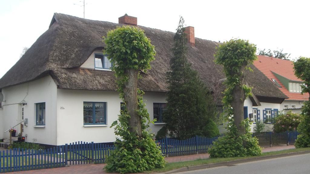 Residenz Lausitz Διαμέρισμα Graal-Mueritz Εξωτερικό φωτογραφία